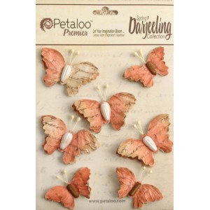 Darjeeling - Wild Butterflies - Paprika